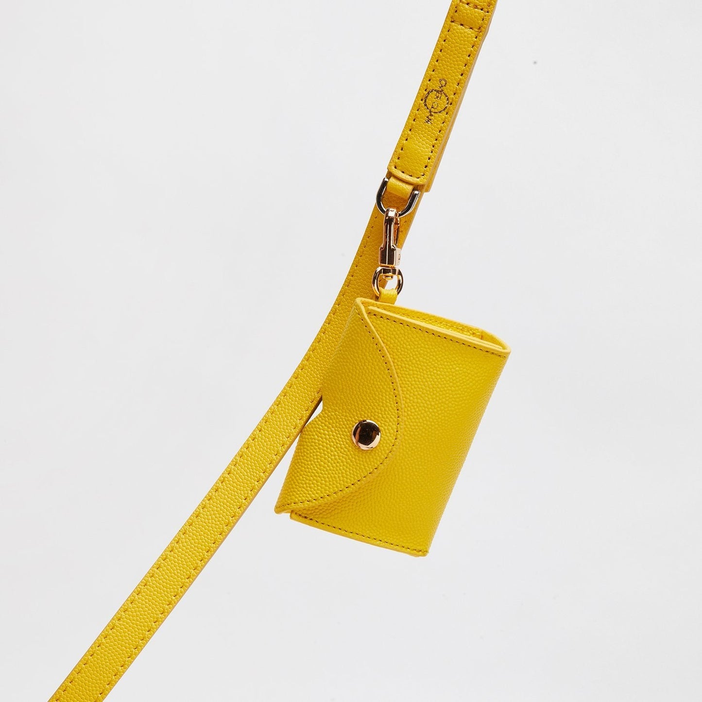 Leather Lead + Leather Pocket + Leather Collar