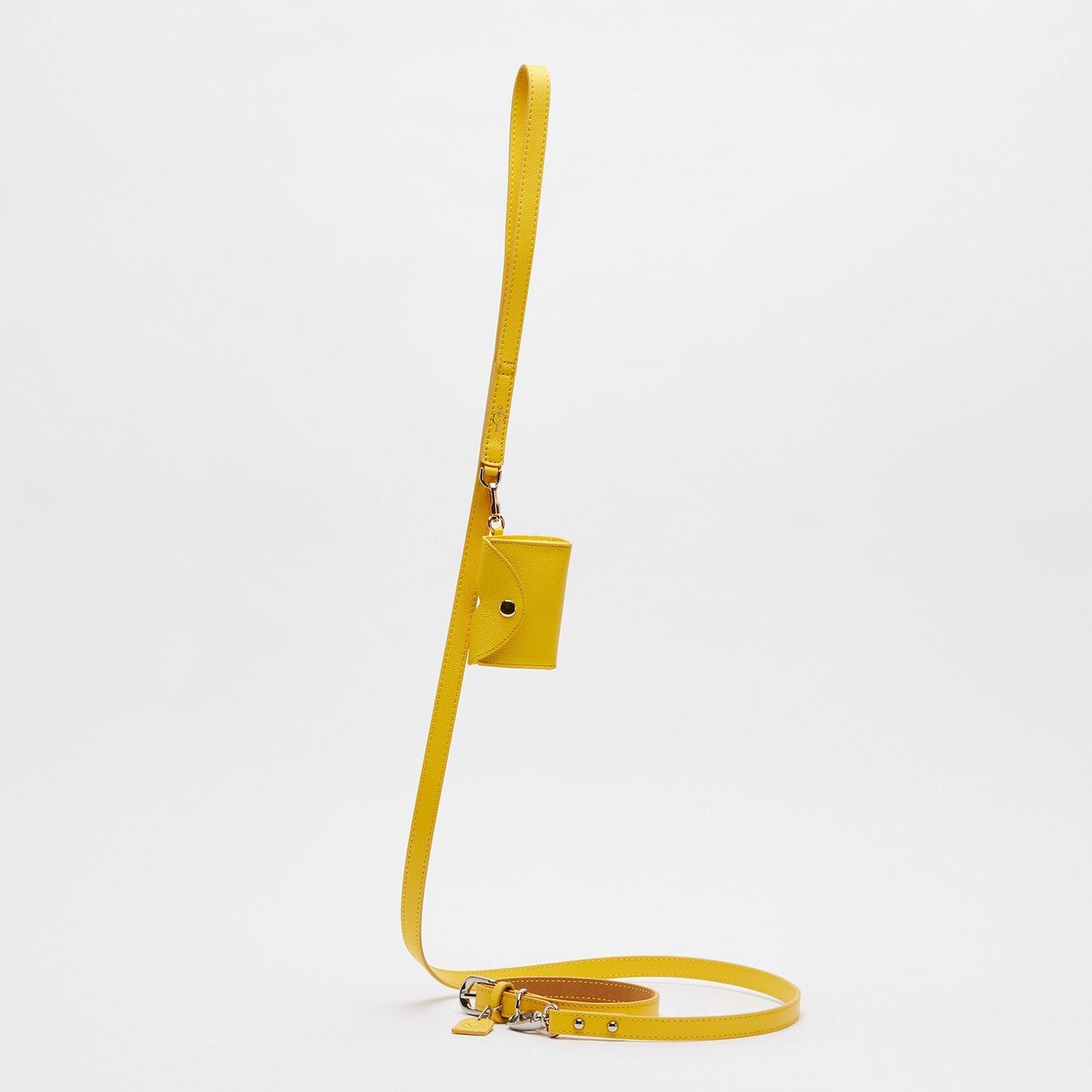 Leather Lead + Leather Pocket + Leather Collar