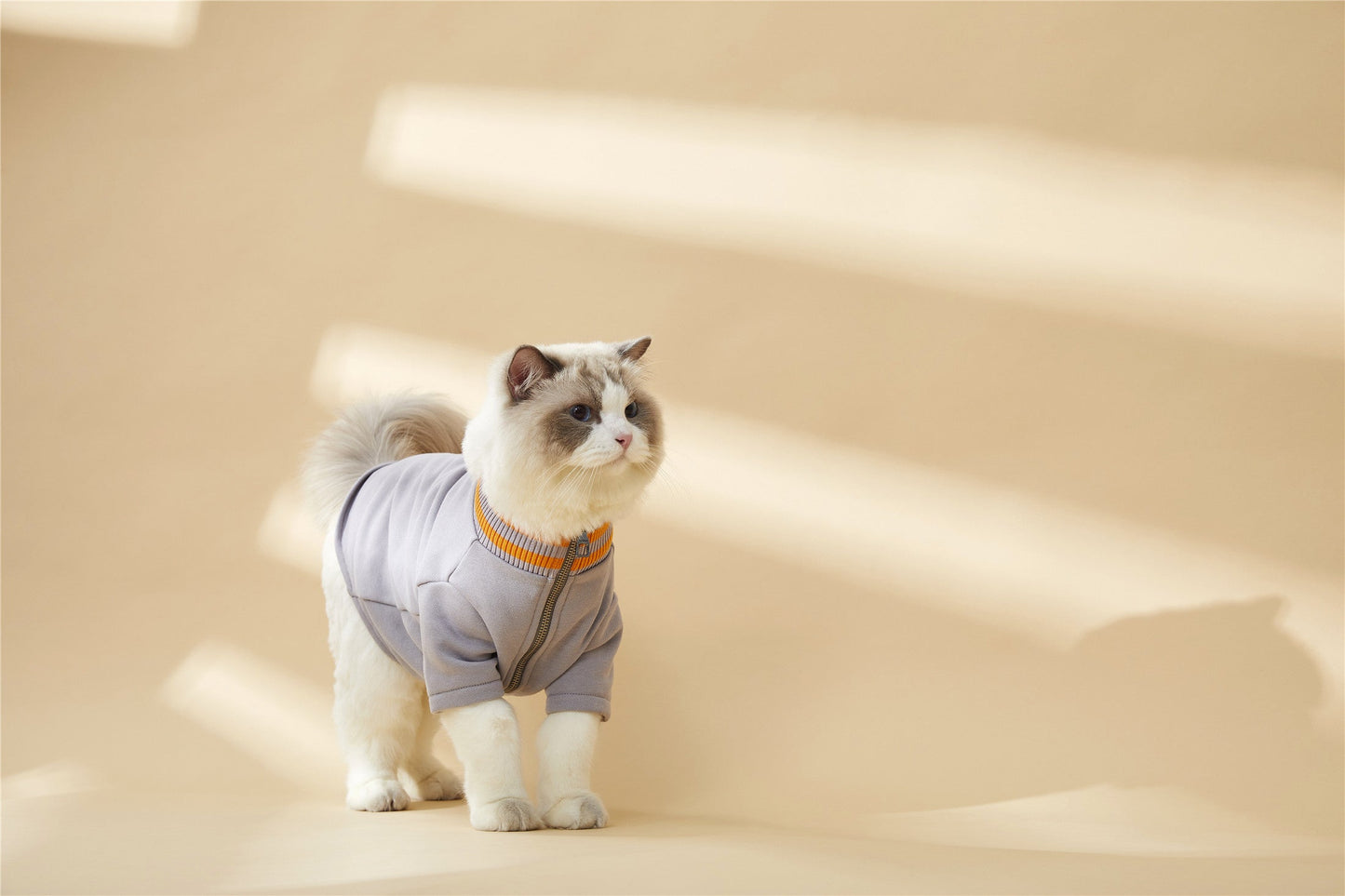 Contrast Turtleneck Thin Jacket