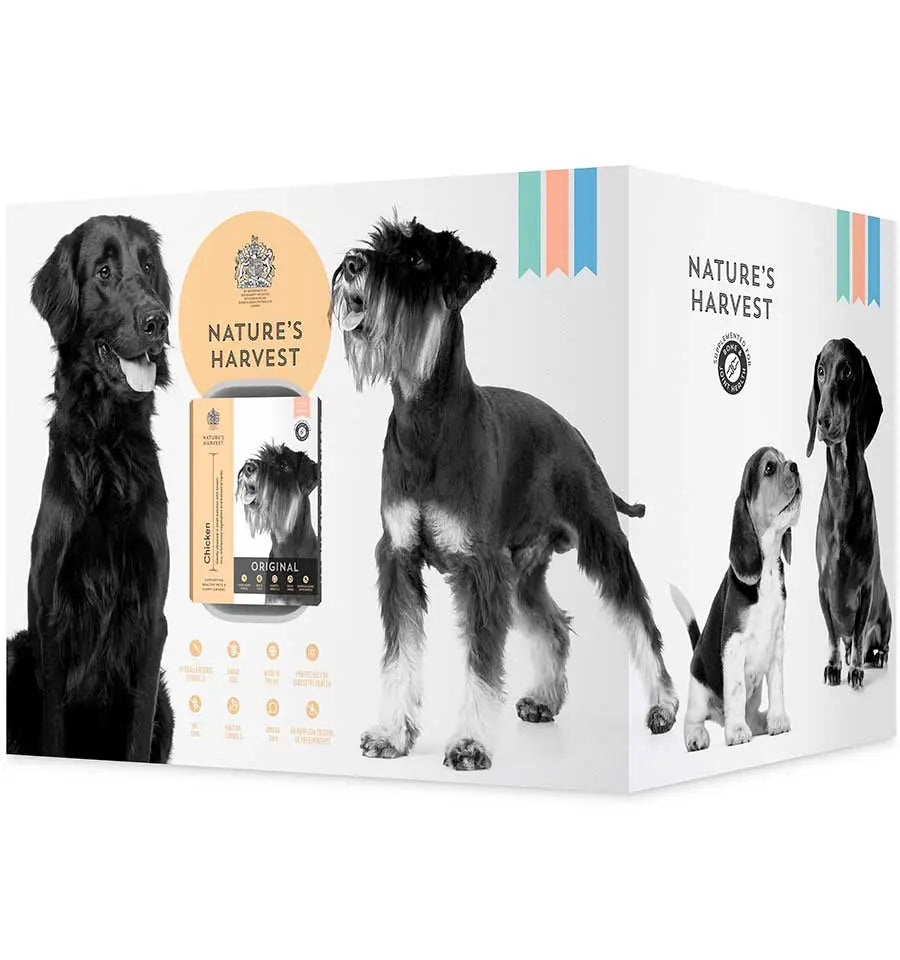 Chicken & Vegetables with Brown Rice Wet Dog Food - Adult