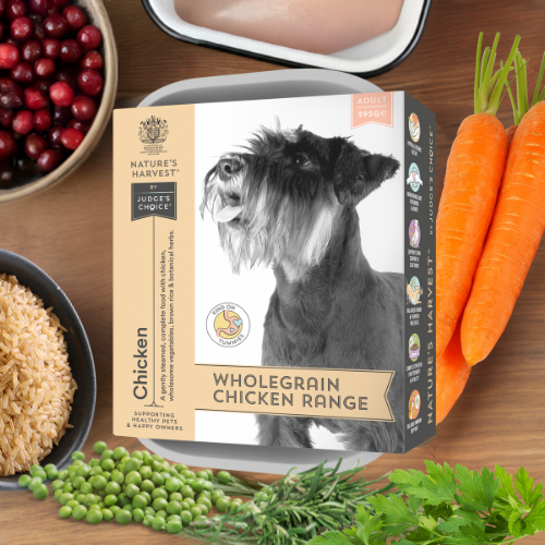 Chicken & Vegetables with Brown Rice Wet Dog Food - Adult