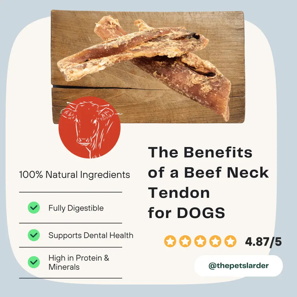 Beef Neck Tendon Natural Meat Chew For Dogs