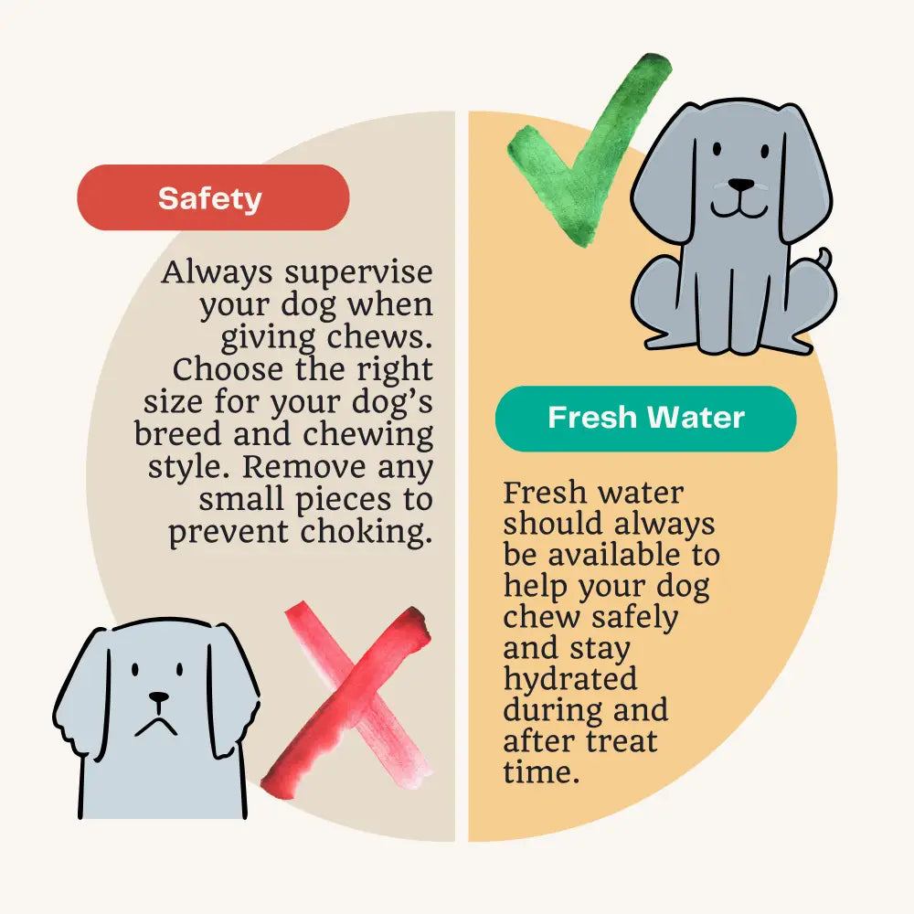 Chicken Neck Natural Meat Chew For Dogs