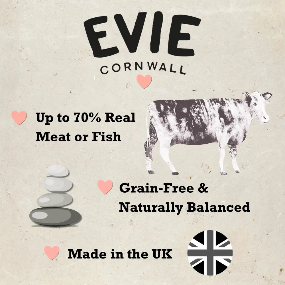 Evie Natural Dry Kitten Food Turkey With Chicken