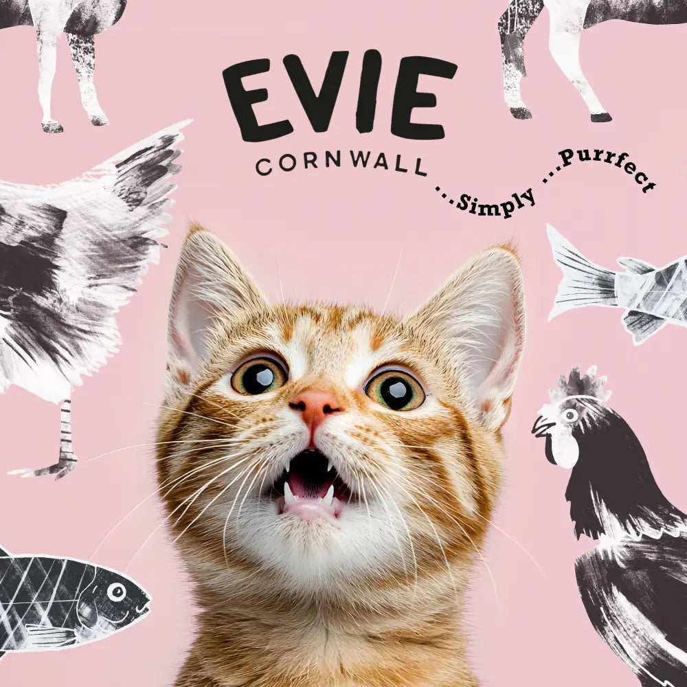 Evie Natural Dry Kitten Food Turkey With Chicken