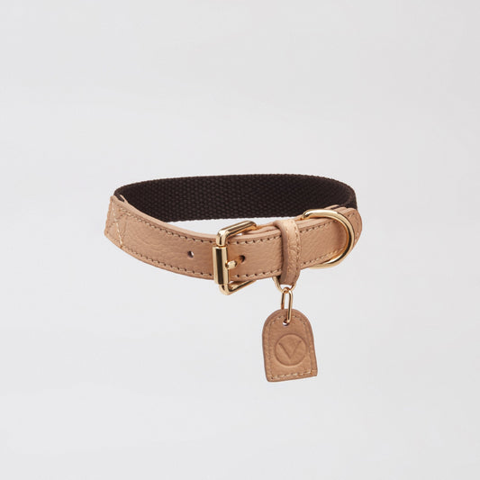 Contrast Collar (Apricot & Black)
