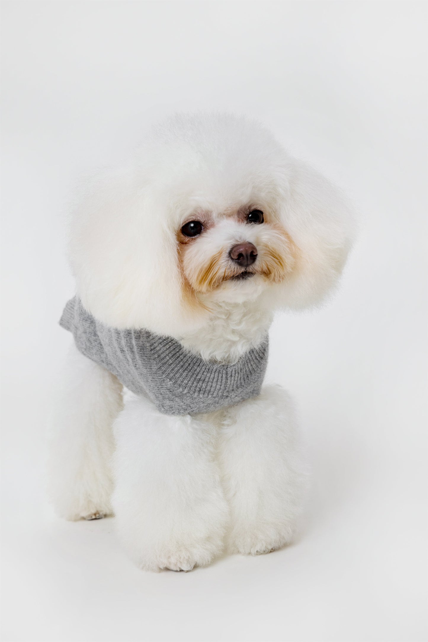 Sleeveless Jumper with Golden Metal Logo