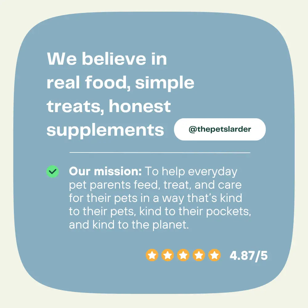 Pork Crunch Natural Meat Chew For Dogs