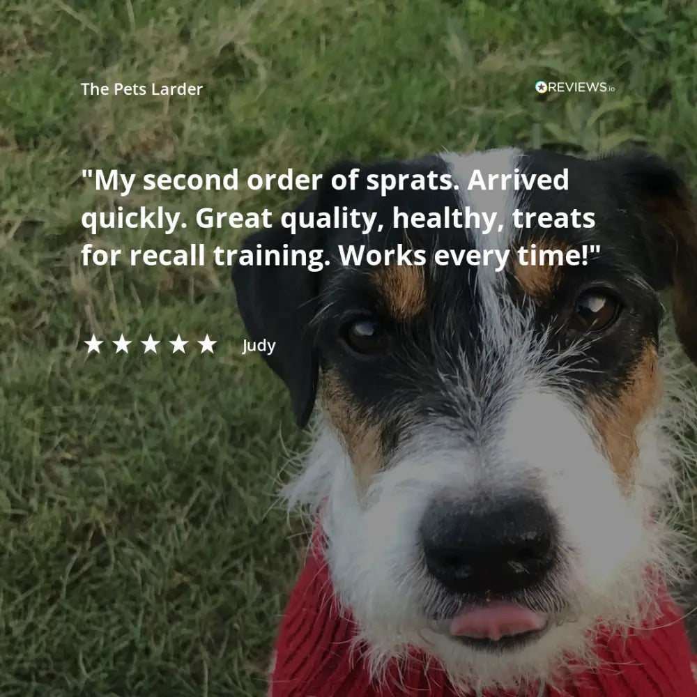 Pork Crunch Natural Meat Chew For Dogs