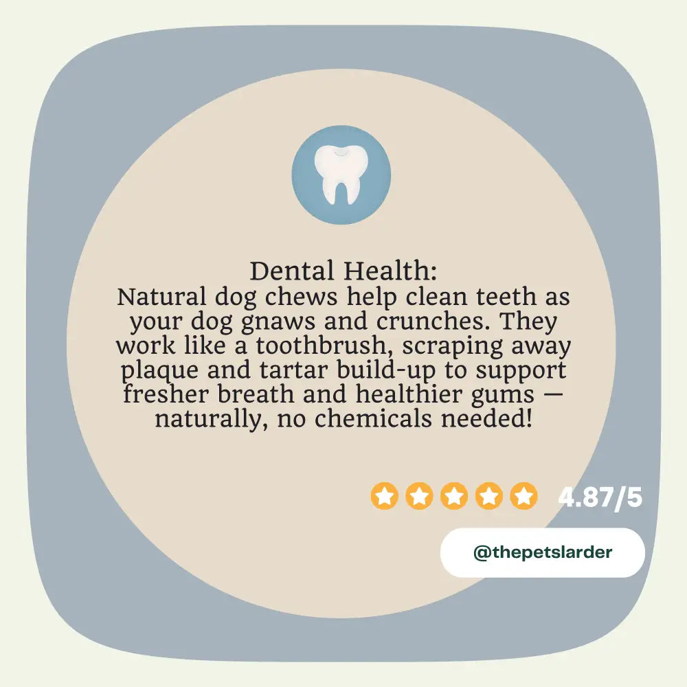 Pork Crunch Natural Meat Chew For Dogs