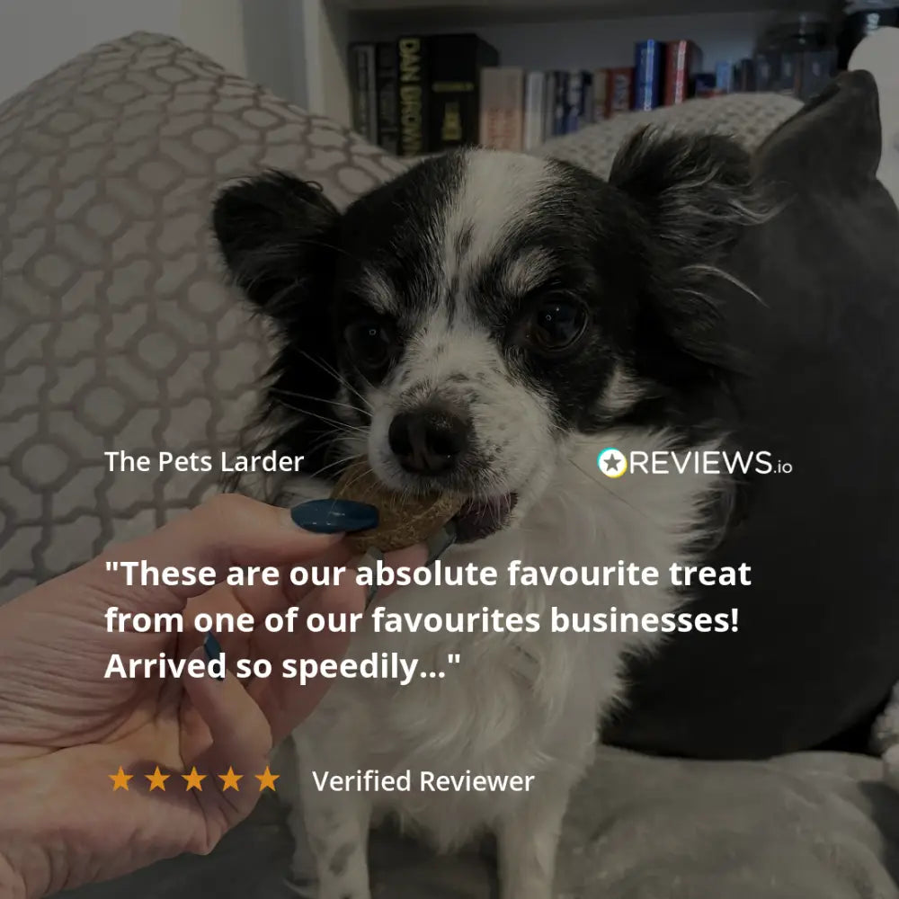 Rabbit Ear with Fur Natural Meat Chew For Dogs