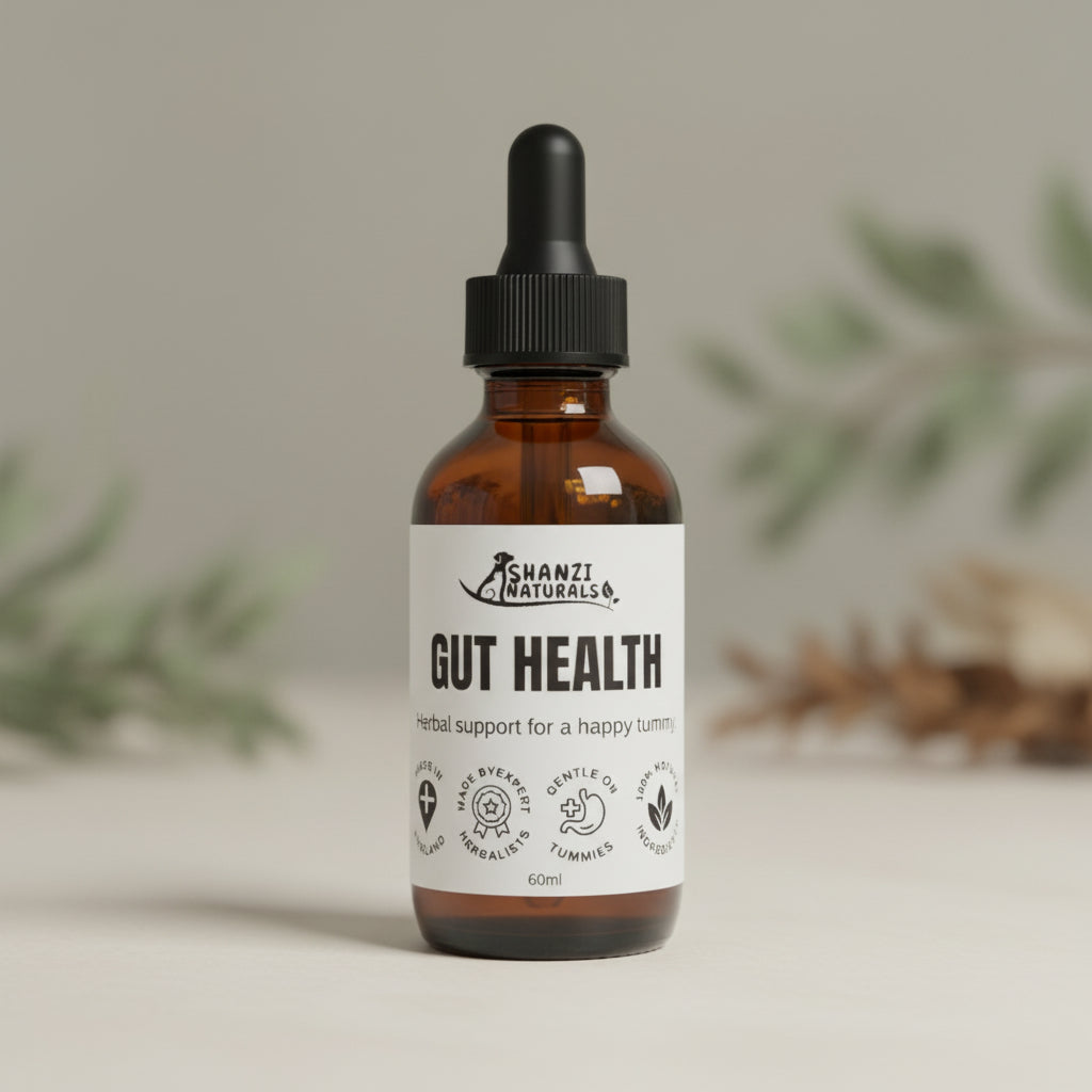 Gut Health Tincture - 100ml