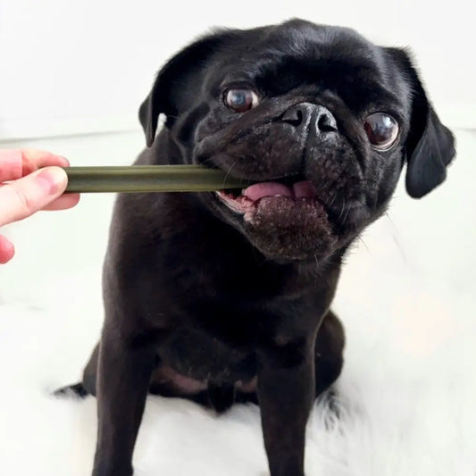 Spinach & Cranberry Chew Stick Vegetable Chew For Dogs